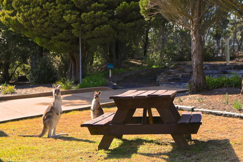 Leura Lodge At Mt Victoria - Accommodation Batemans Bay 2