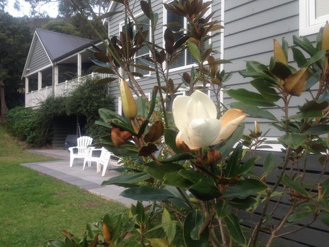 McCrae Lodge - Accommodation Batemans Bay 1