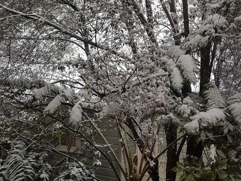 Megalong Manor - Accommodation Batemans Bay 1