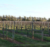 Milawa Vineyard Views - Guesthouse 2 - Accommodation Batemans Bay