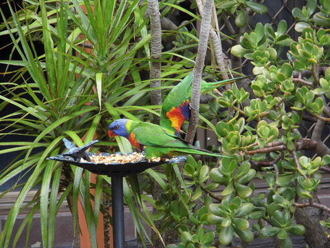 Nanango Fitzroy Motel - Accommodation Batemans Bay 2