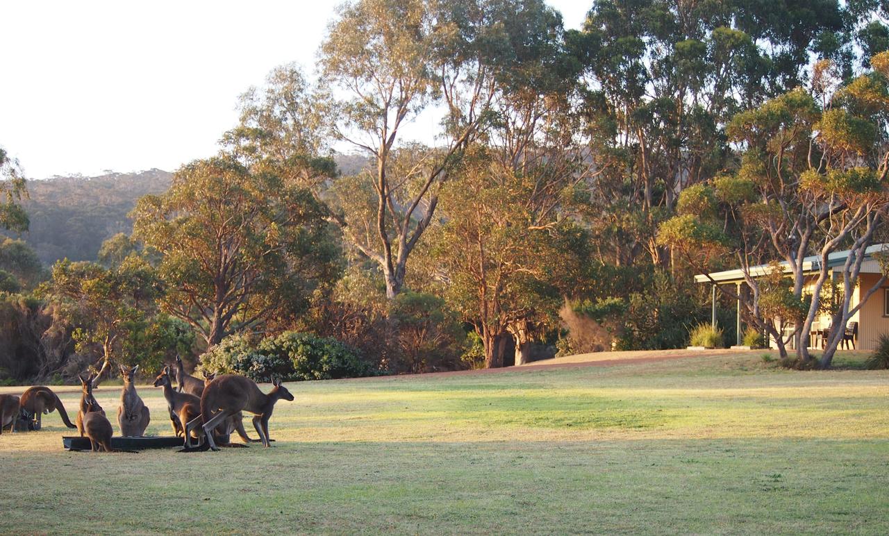  Accommodation Batemans Bay