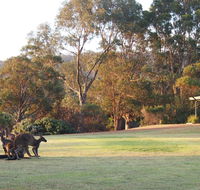 Riverside Retreat Chalets Walpole - Accommodation Batemans Bay