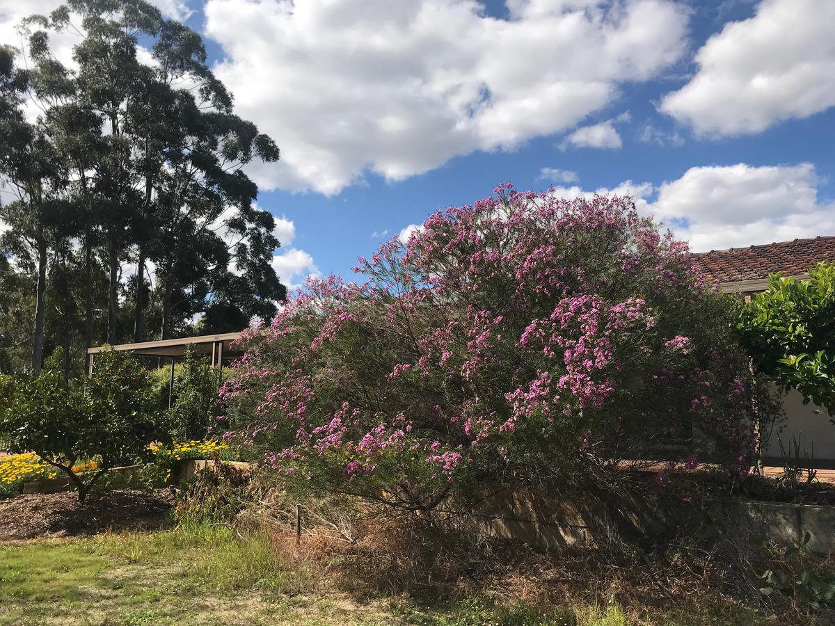 Aubin Grove WA Accommodation Batemans Bay