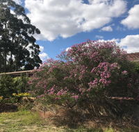 Cockburn Retreat Home  - Accommodation Batemans Bay