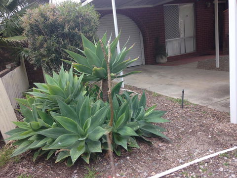 â˜… Stylish Family Home! â˜… - Accommodation Batemans Bay 2