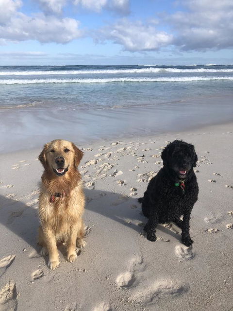 The Bothy Lancelin Family Retreat - Accommodation Batemans Bay 32