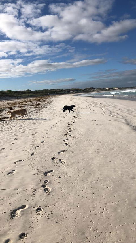 The Bothy Lancelin Family Retreat - Accommodation Batemans Bay 30