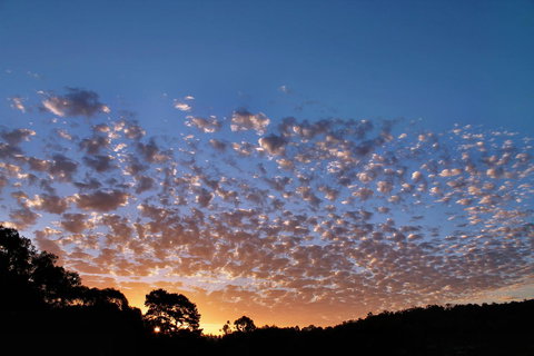 Bridgetown Valley Lodge - Accommodation Batemans Bay 6