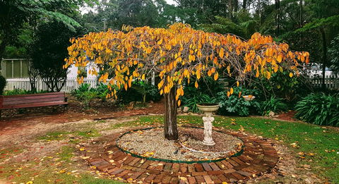 Adamsons Riverside Accommodation - Accommodation Batemans Bay 22