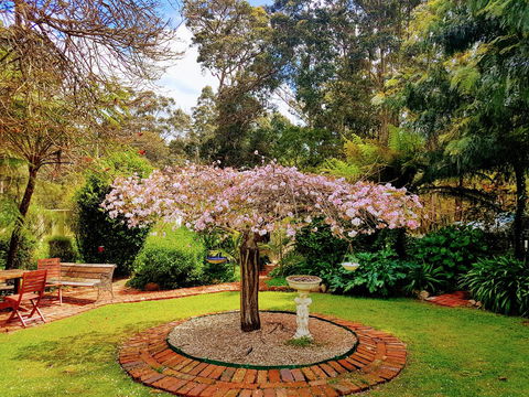 Adamsons Riverside Accommodation - Accommodation Batemans Bay 25