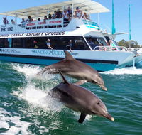 Belvedere Caravan Park - Accommodation Batemans Bay