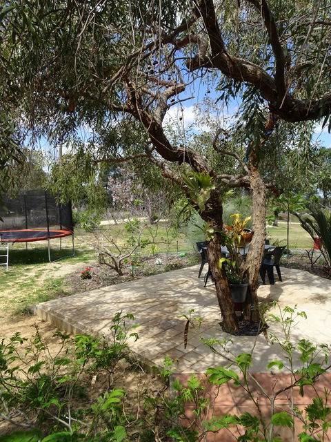 Majestichomestead B&B - Accommodation Batemans Bay 7
