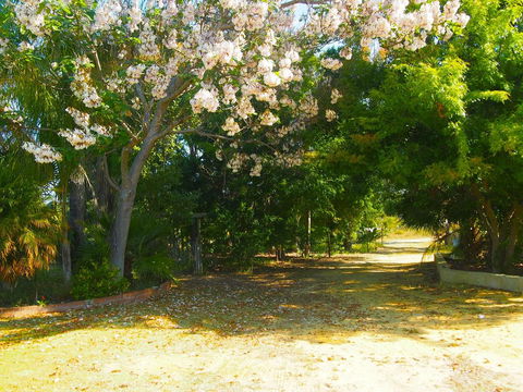 Majestichomestead B&B - Accommodation Batemans Bay 33