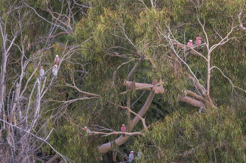 12/26 Yallingup Beach Road - Accommodation Batemans Bay 19