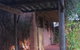 Bentwood Olive Grove Accommodation - thumb 11