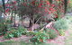 Bentwood Olive Grove Accommodation - thumb 21