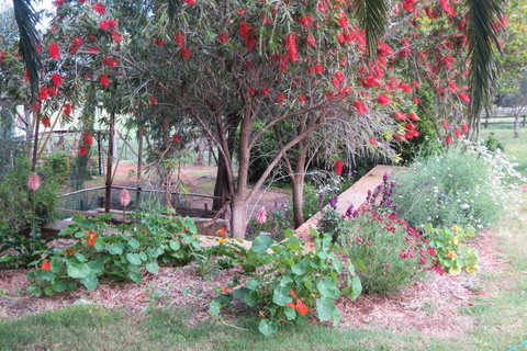 Bentwood Olive Grove Accommodation - Accommodation Batemans Bay 21
