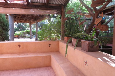 Bentwood Olive Grove Accommodation - Accommodation Batemans Bay 10