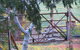 Bentwood Olive Grove Accommodation - thumb 25