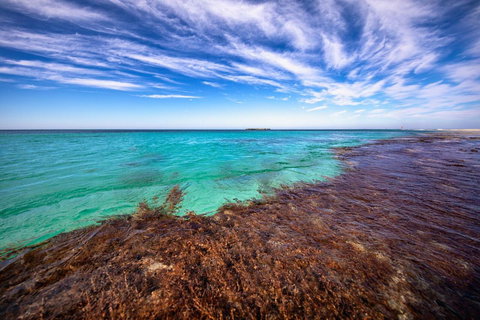 Discovery Resorts - Rottnest Island - Accommodation Batemans Bay 24