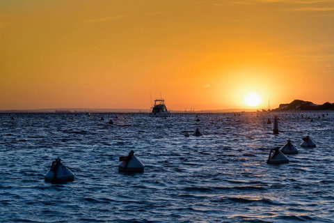 Discovery Resorts - Rottnest Island - Accommodation Batemans Bay 27