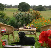 Silversprings cottages - Accommodation Batemans Bay