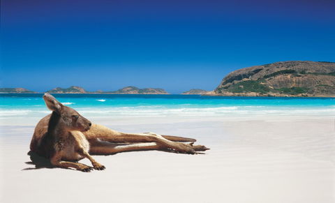Esperance YHA - Accommodation Batemans Bay 14