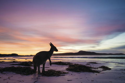 Esperance YHA - Accommodation Batemans Bay 20