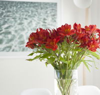 On The Beach Waterfront Apartment - Accommodation Batemans Bay