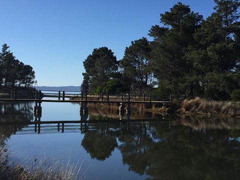 Swansea Holiday Park Tasmania - Accommodation Batemans Bay 41