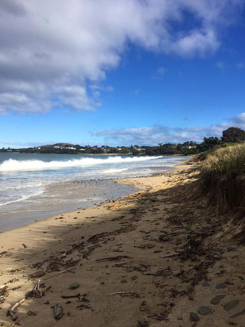 Swansea Holiday Park Tasmania - Accommodation Batemans Bay 15