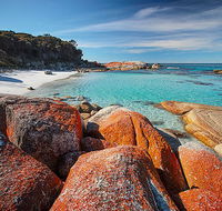 Homelea Accommodation - Accommodation Batemans Bay