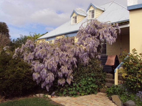 Orford's Sanda House B&B - Accommodation Batemans Bay 40