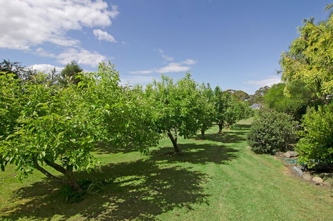 Orford's Sanda House B&B - Accommodation Batemans Bay 37