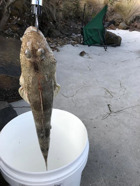 Summertime Cottage - Accommodation Batemans Bay 6