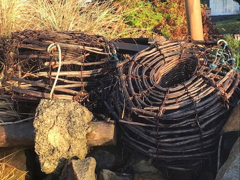 Summertime Cottage - Accommodation Batemans Bay 4