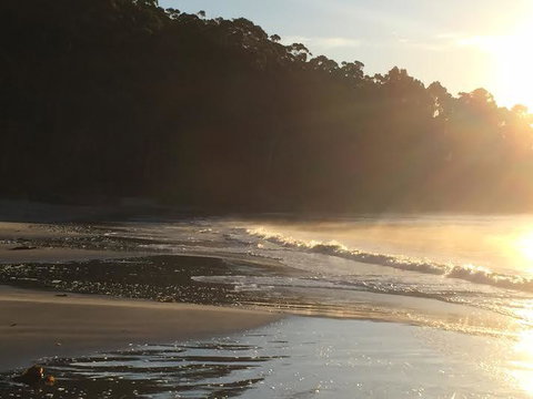 Summertime Cottage - Accommodation Batemans Bay 7