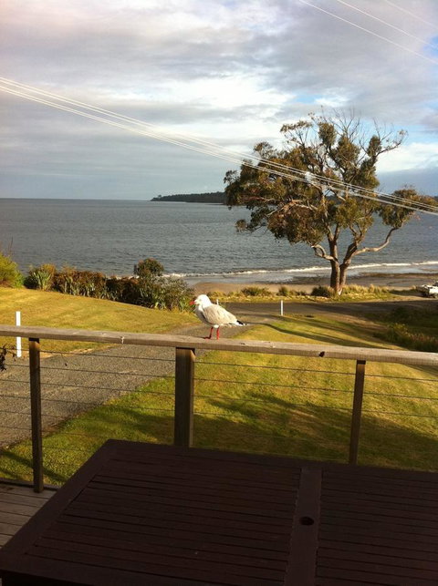 Summertime Cottage - Accommodation Batemans Bay 30