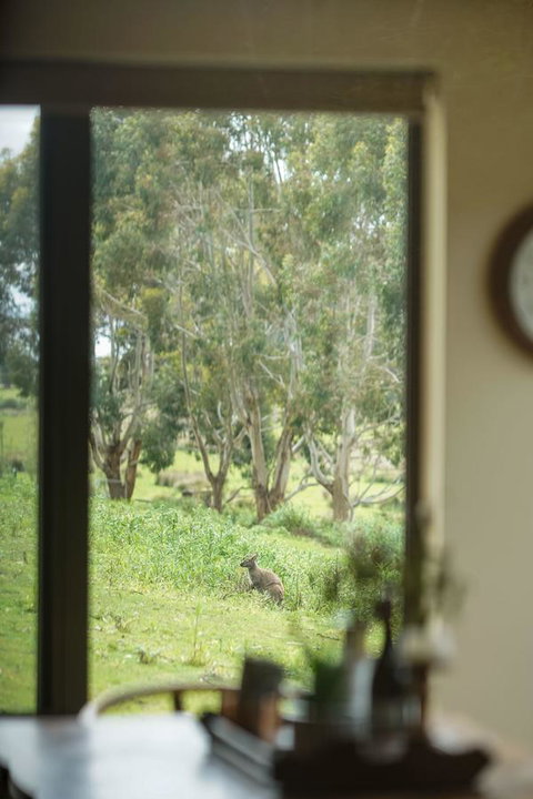 Adventure Bay Retreat Bruny Island - Accommodation Batemans Bay 7