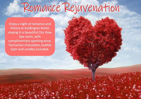 Auldington Hotel - Accommodation Batemans Bay 6