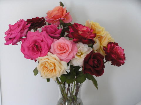 Auldington Hotel - Accommodation Batemans Bay 30