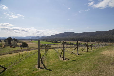 Twamley Farm - Accommodation Batemans Bay 7