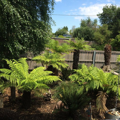 Pinestumps Holiday Home - Accommodation Batemans Bay 14