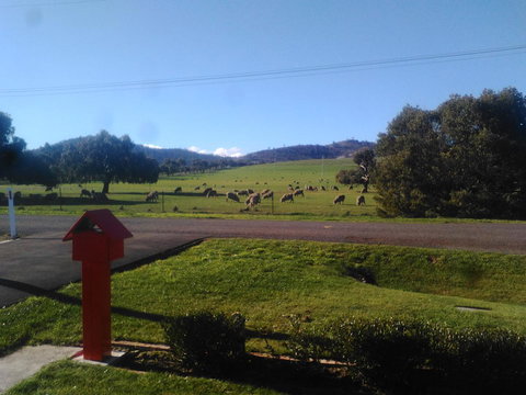 Pinestumps Holiday Home - Accommodation Batemans Bay 11