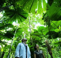 NRMA Cairns Holiday Park - Accommodation Batemans Bay