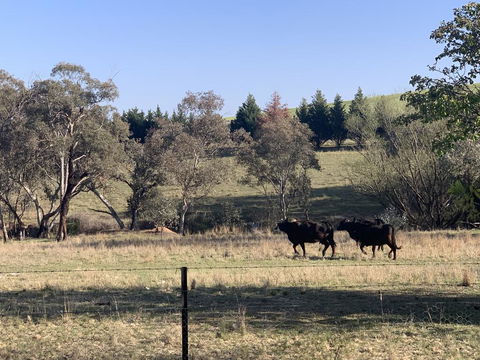 OConnell Retreat BnB - Accommodation Batemans Bay 1