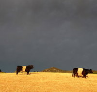 Peppertree Hill - Accommodation Batemans Bay