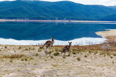 Pether Cottage - Talbingo NSW - Accommodation Batemans Bay 3