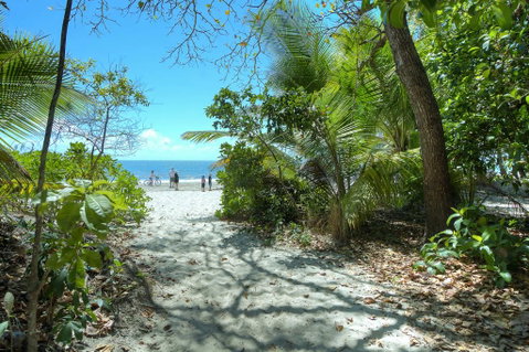 Plantation 2 - Absolute Beachfront - Accommodation Batemans Bay 1